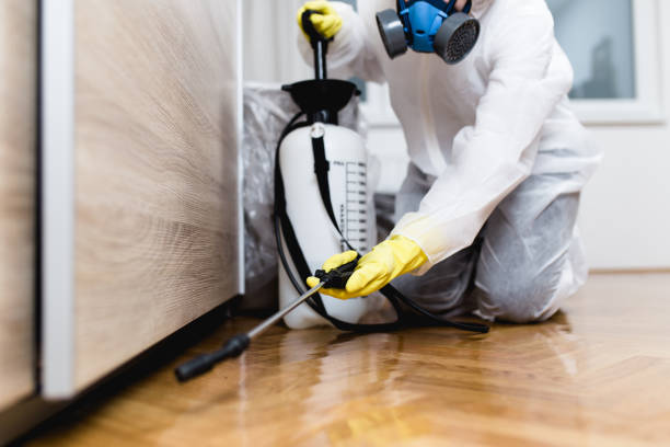 Best Local Pest Control Services  in Gibraltar, MI
