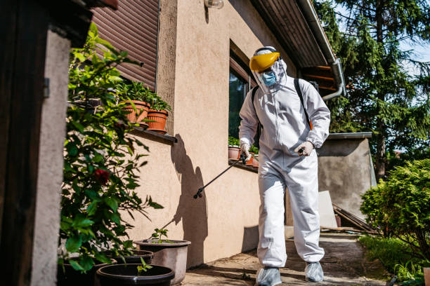Best Wasp Removal Services  in Gibraltar, MI