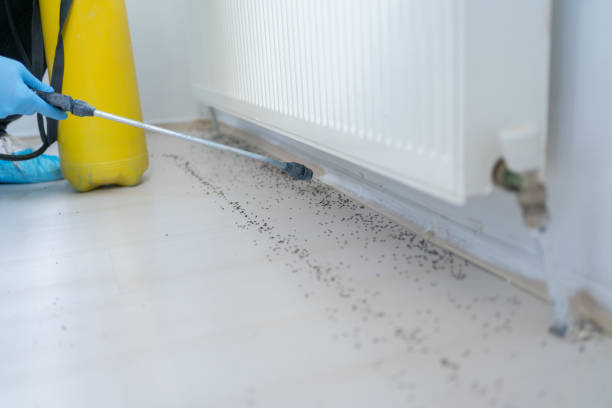 Best Rat Extermination Near Me  in Gibraltar, MI