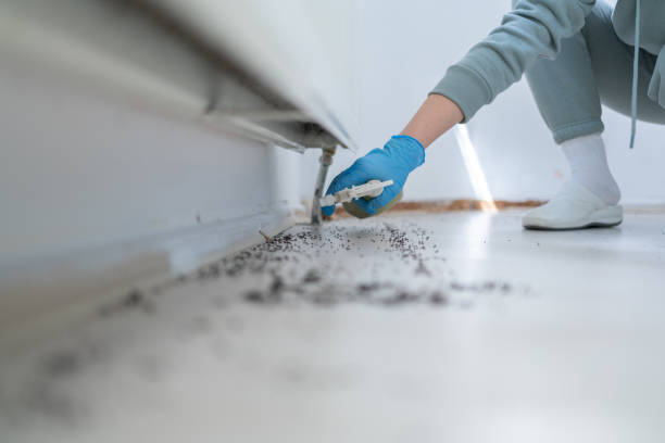Best Mosquito Control Services  in Gibraltar, MI